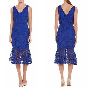 #315 Alexia Admir Olivia Dress size 4